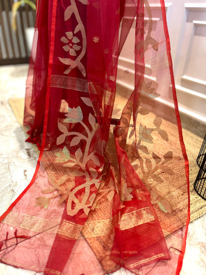 Laal Ishq | Muslin Silk saree